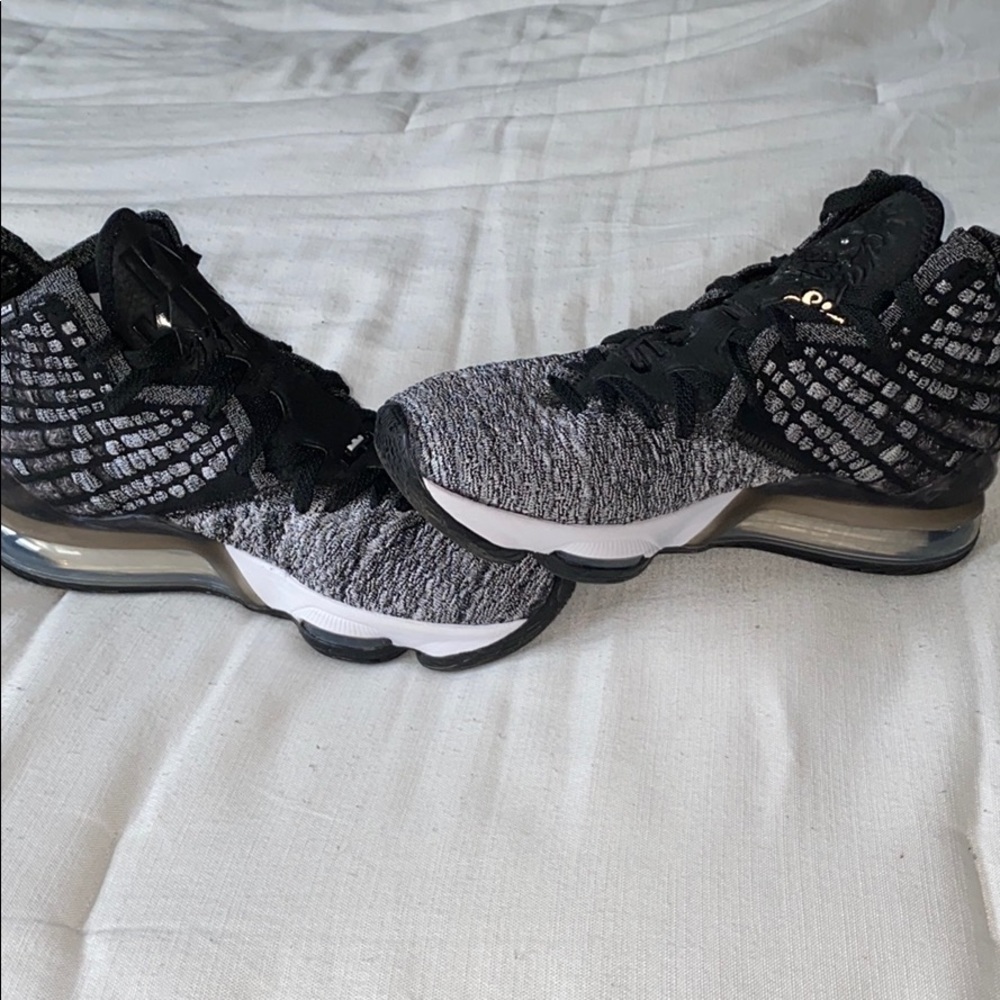 NEW NIKE LEBRON 17